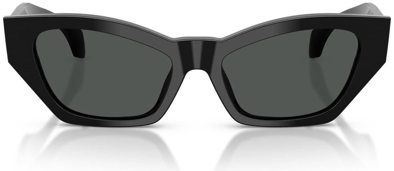 Versace  Women Sunglasses