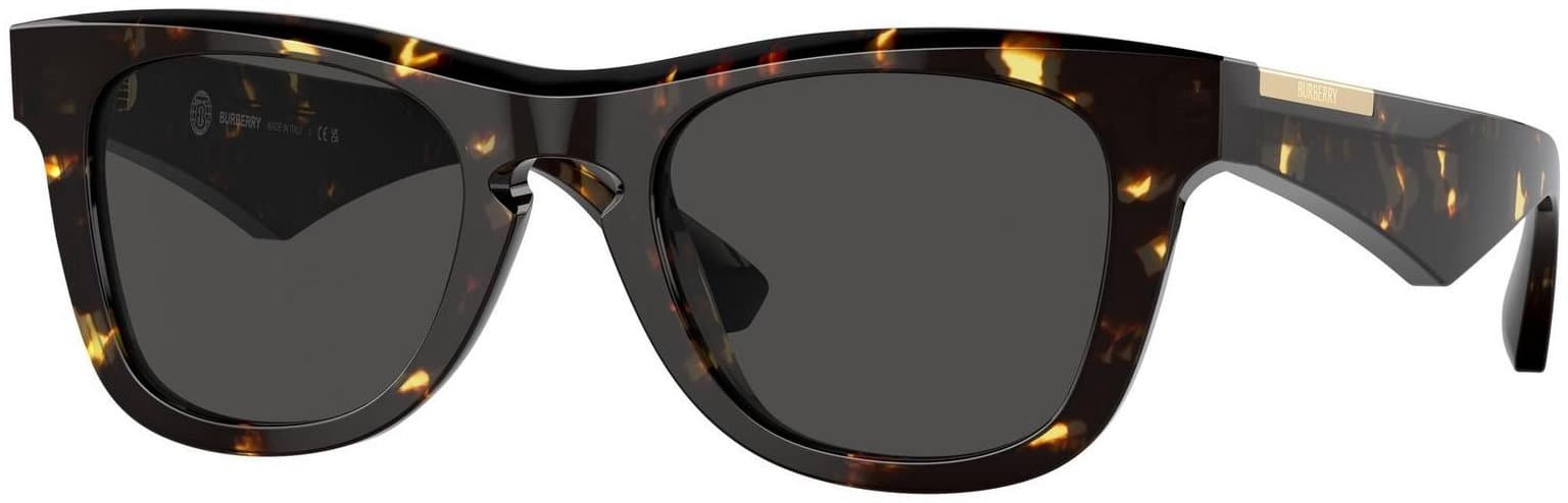 Burberry Men Sunglasses